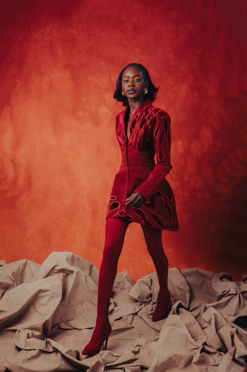 Preorder Abi Blazer Dress – Lady Biba NG